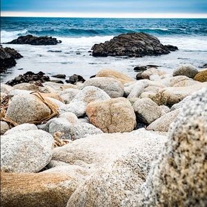 Meet your Posher, Malou